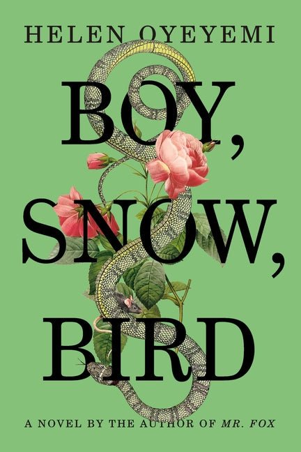 Boy, Snow, Bird - Ingram