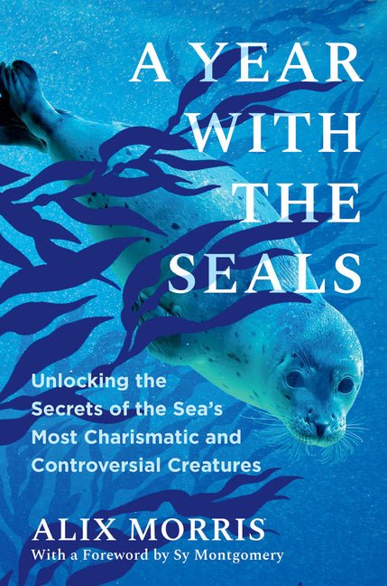 Year with the Seals: Unlocking the Secrets of the Sea's Most Charismatic and Controversial Creatures - Ingram