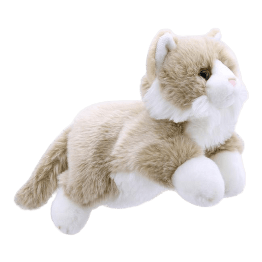 Full-Bodied Beige & White Cat