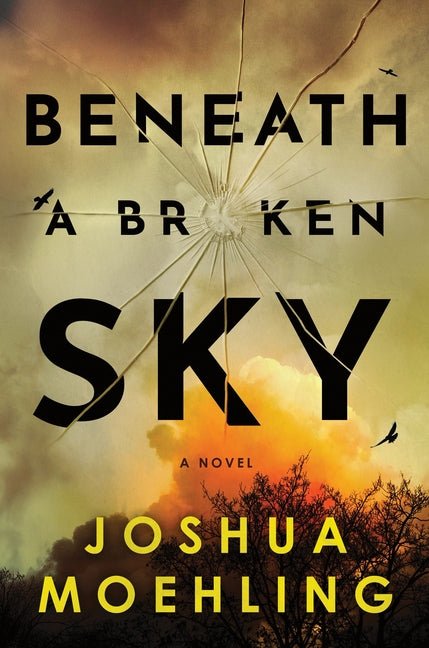 Beneath a Broken Sky - Ingram