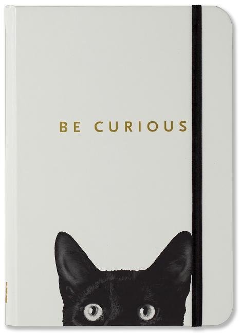 SM Jrnl Curious Cat - Ingram