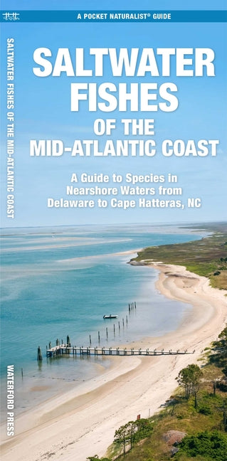 Saltwater Fishes of the Mid-Atlantic Coast: A Guide to Species in Nearshore Waters from Delaware to Cape Hatteras, NC