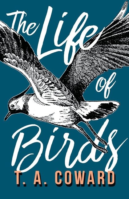 Life of Birds - Ingram