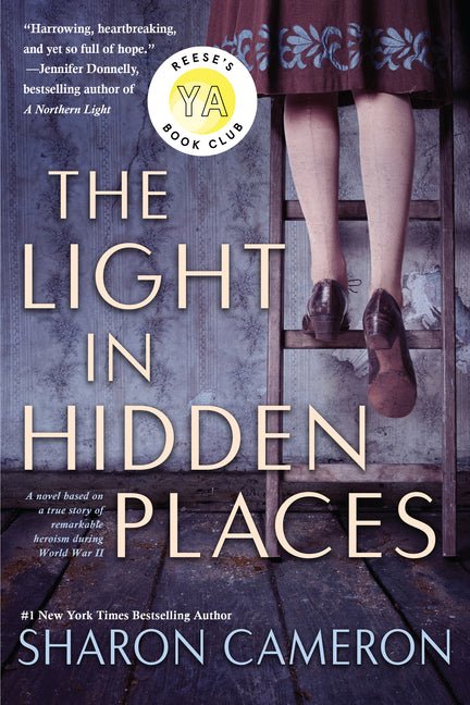 The Light in Hidden Places - Ingram