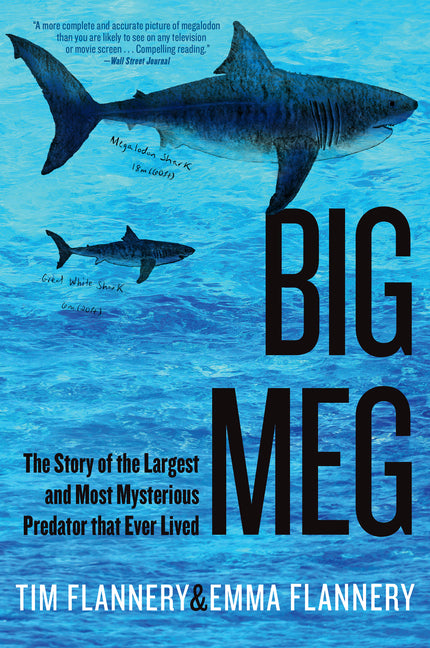Big Meg: The Story of the Largest and Most Mysterious Predator That Ever Lived - Ingram