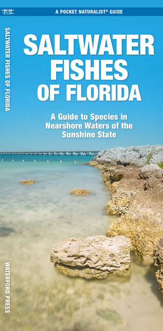 Saltwater Fishes of Florida: A Guide to Species in Nearshore Waters of the Sunshine State