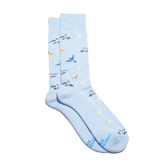Socks That Protect Songbirds - Ingram