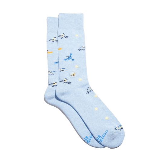 Socks That Protect Songbirds