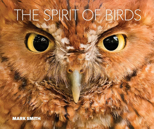 The Spirit of Birds: From World Renowned Nature Photographer Mark Smith