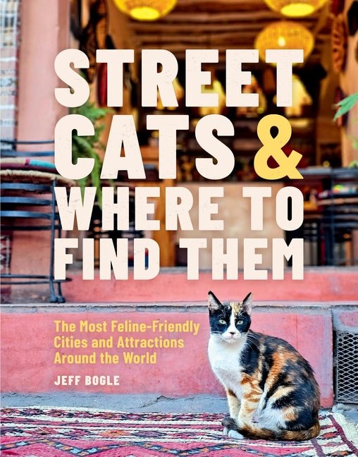 Street Cats & Where to Find Them: The Most Feline-Friendly Cities and Attractions Around the World - Ingram