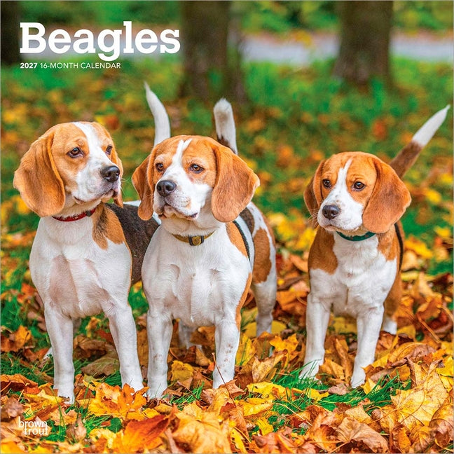 Beagles 2027 12 X 24 Inch (Hanging) Monthly Square Wall Calendar Plastic-Free - Ingram