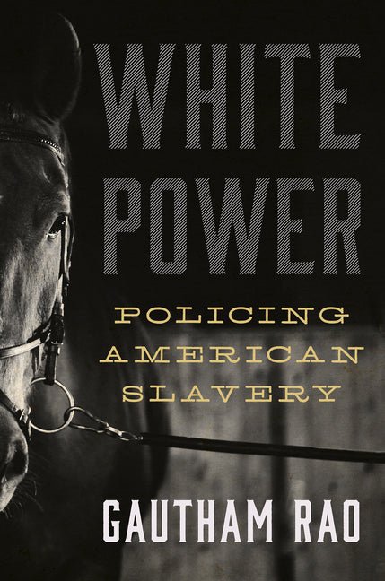 White Power: Policing American Slavery - Ingram