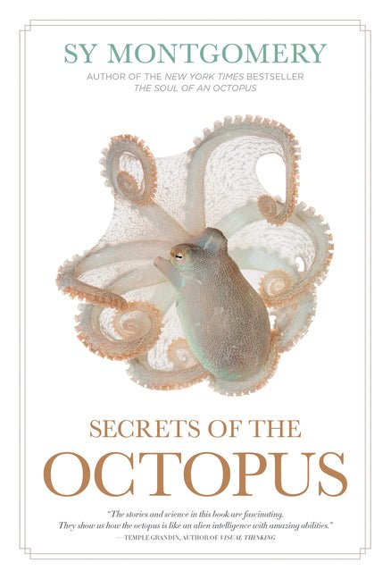 Secrets of the Octopus - Ingram