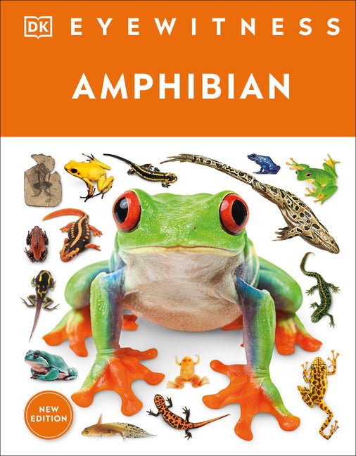 Eyewitness Amphibian - Ingram