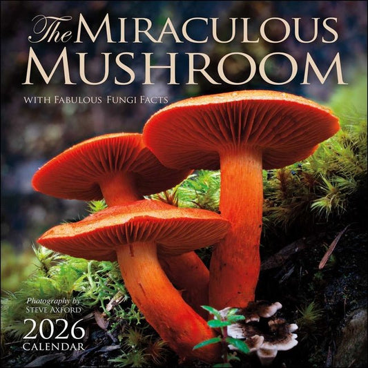 Miraculous Mushroom 2026 Wall Calendar: With Fabulous Fungi Facts - Ingram