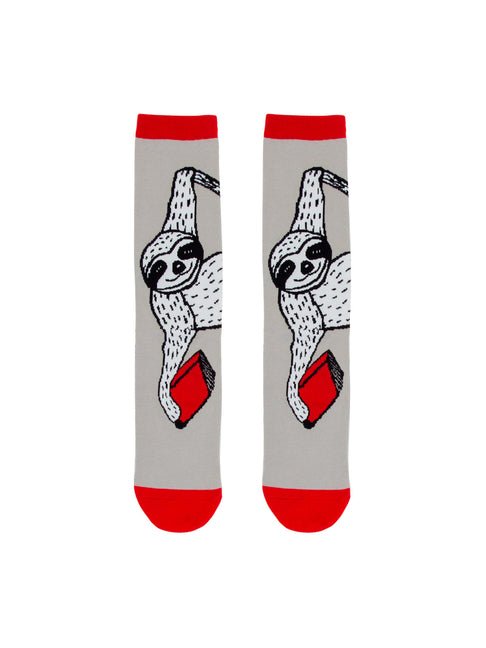 Book Sloth Socks - Large - Ingram