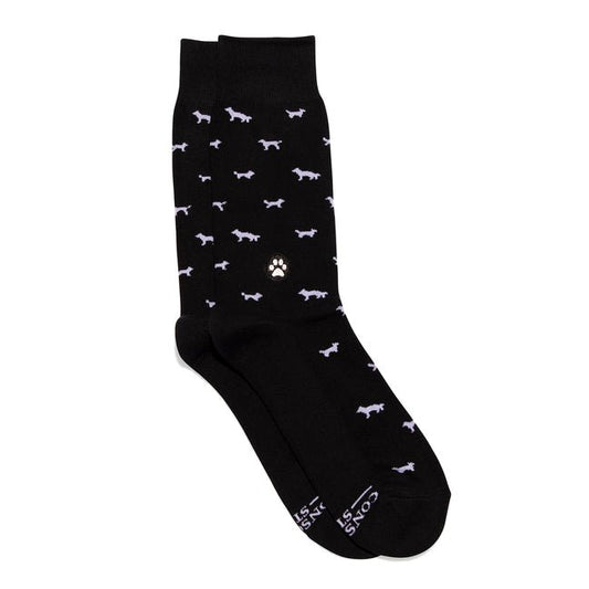 Socks That Save Dogs - Ingram