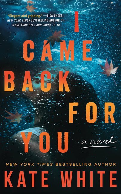 I Came Back for You - Ingram