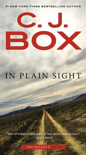 In Plain Sight - Ingram