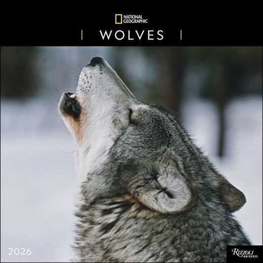 National Geographic: Wolves 2026 Wall Calendar - Ingram