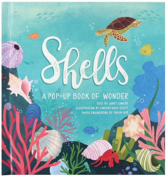 Shells: A Pop-Up Book of Wonder - Ingram