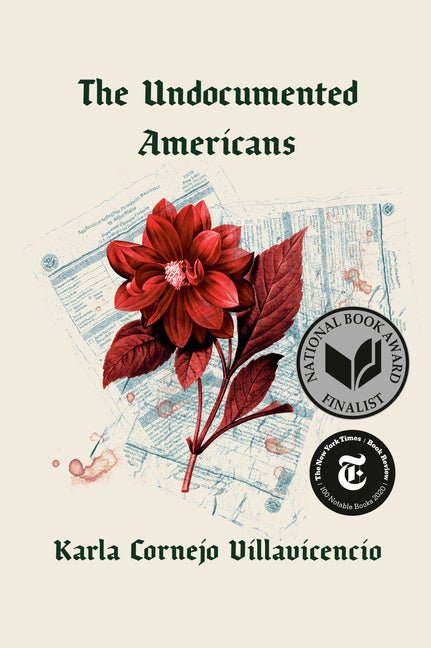 Undocumented Americans - Ingram