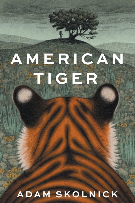 American Tiger - Ingram